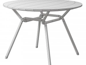 STRAIN Table 3D Model