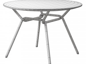 STRAIN Table 3D Model