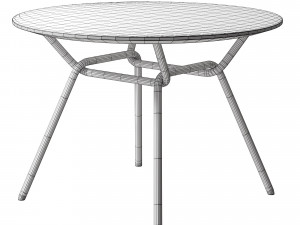 STRAIN Table 3D Model