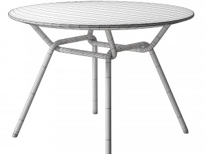 STRAIN Table 3D Model