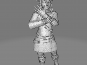 Link botw 3D Print Model