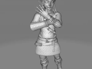 Link botw 3D Print Model