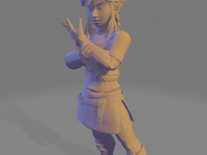 Link botw 3D Print Model