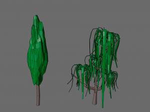 Vegetation 3D Model