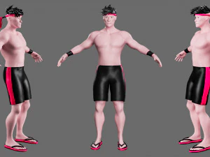 Characters-4 street fighter 3D Model