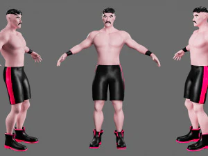 Characters-4 street fighter 3D Model
