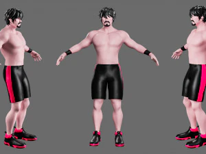 Characters-4 street fighter 3D Model