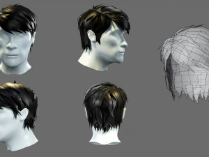 Cartoon hairstyles 3D Model