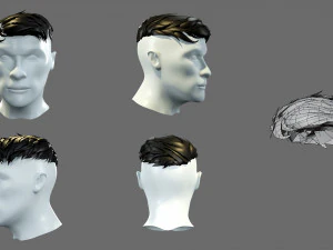 Cartoon hairstyles 3D Model