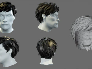 Cartoon hairstyles 3D Model