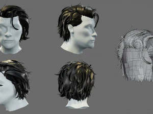 Cartoon hairstyles 3D Model