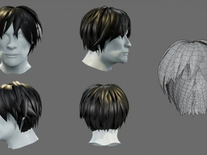 Cartoon hairstyles 3D Model