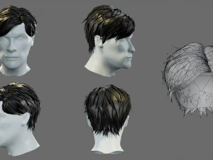 Cartoon hairstyles 3D Model