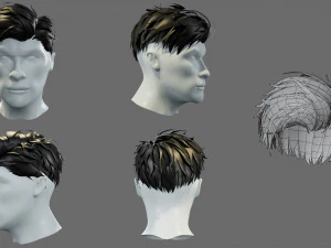 Cartoon hairstyles 3D Model