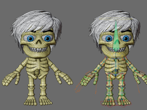 Skeletons with hairstyles 3D Model