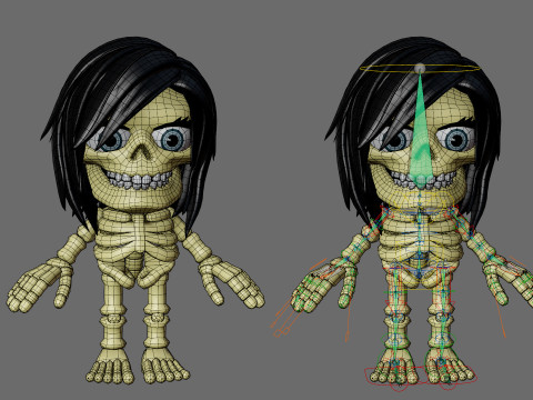 Skeletons with hairstyles 3D Model