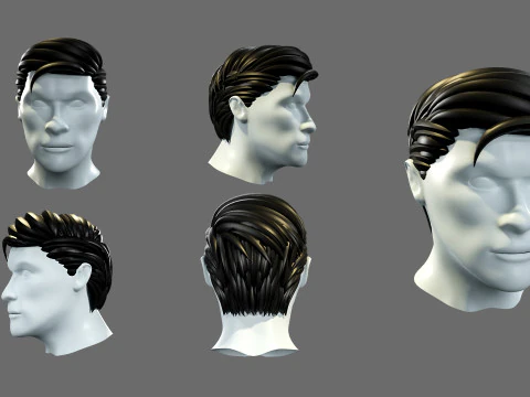 Mens hairstyles 3D Model