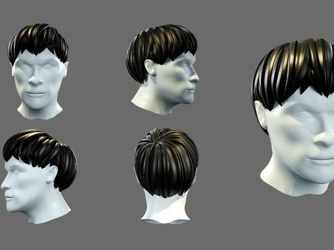 Mens hairstyles 3D Model