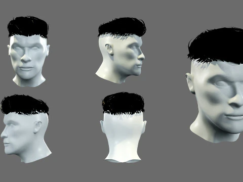 Mens hairstyles 3D Model