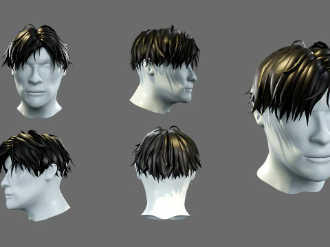 Mens hairstyles 3D Model