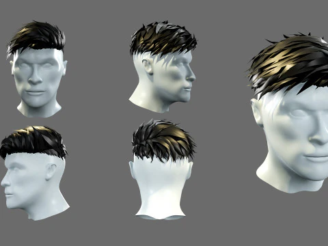 Mens hairstyles 3D Model
