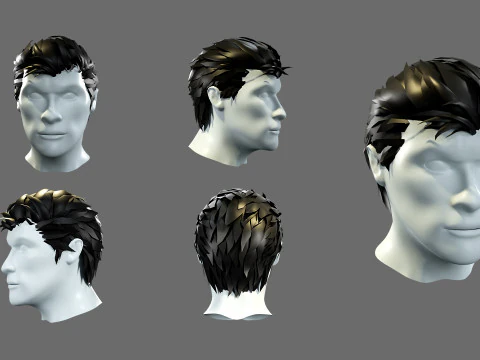 Mens hairstyles 3D Model