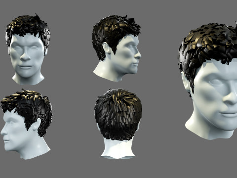 Mens hairstyles 3D 모델