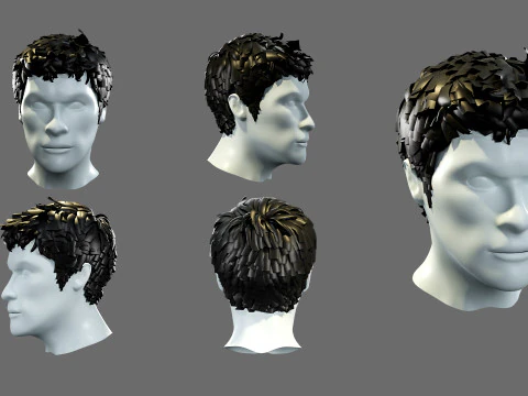Mens hairstyles 3D Model
