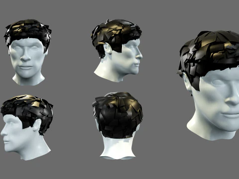 Mens hairstyles 3D Model