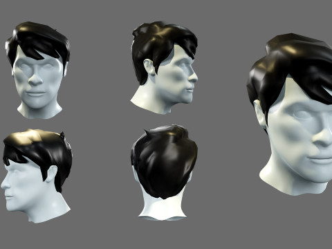 Mens hairstyles 3D 모델