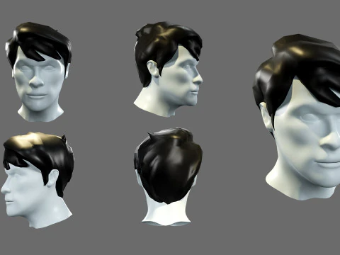 Mens hairstyles 3D Model