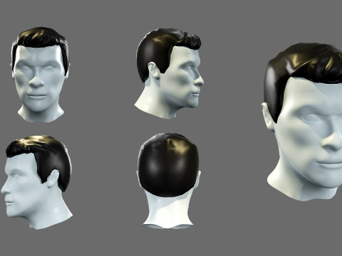 Mens hairstyles 3D 모델