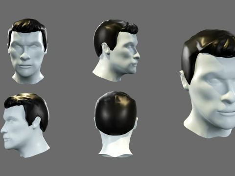 Mens hairstyles 3D Model