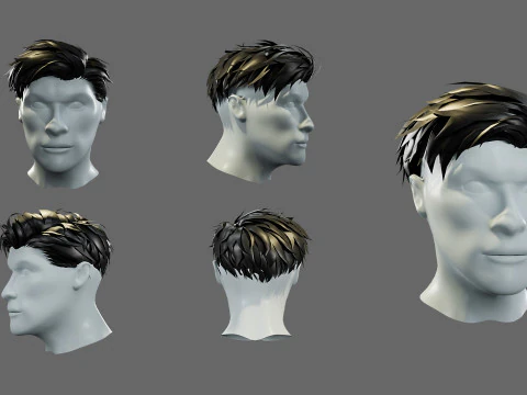 3D hairstyle for men 3D Model