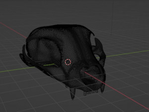 Cat Skull 3Dモデル
