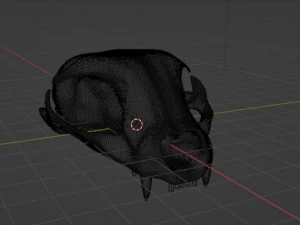 Cat Skull 3D Model