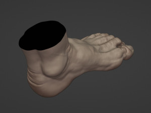 Leg-anatomy-sculpting 3D 模型