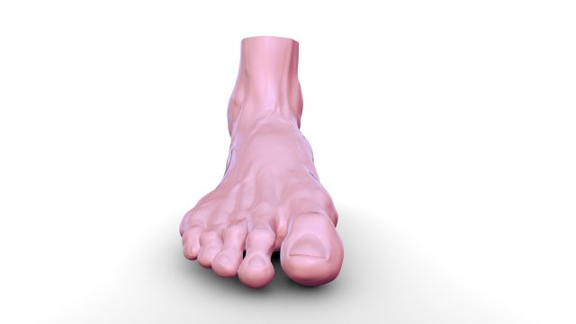 Leg 3D 模型 .c4d .max .obj .3ds .fbx .stl .blend