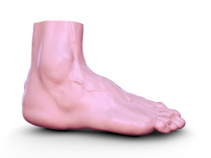 Leg 3D 模型