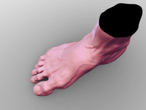 Leg 3D Model