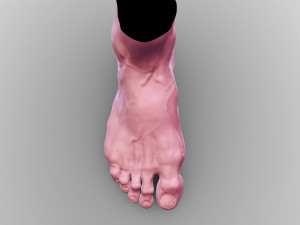 Leg 3D 模型