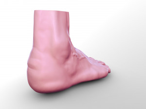 Leg 3D 模型