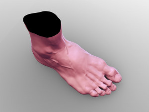 Leg 3D 模型