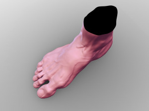 Leg 3D 模型
