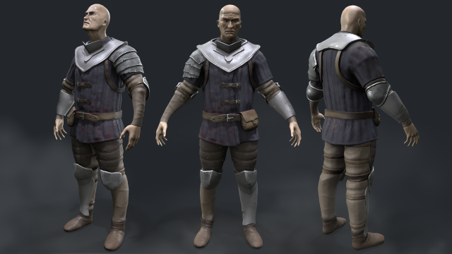 Castle guard 3D Model .c4d .max .obj .3ds .fbx .stl .blend