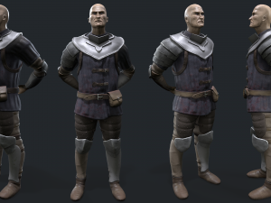 Castle guard 3D Model