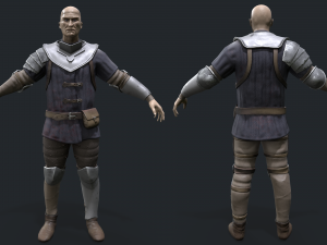Castle guard 3D Model