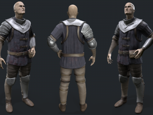 Castle guard 3D Model