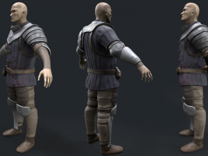 Castle guard 3D Model