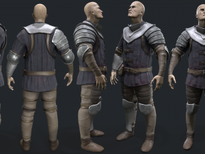 Castle guard 3D Model